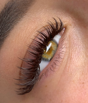 Mocha Brown FAVOURITE Cashmere Faux Mink Lashes - Mixed Lengths