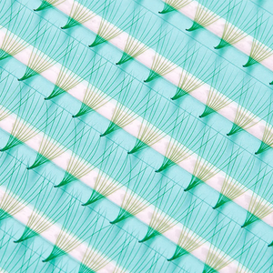 Green Super Fan 8D 0.05mm - 200 Pre-Made Fans